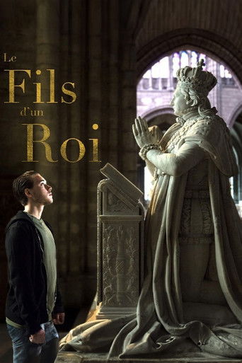 Regarder Le fils d'un roi en streaming complet